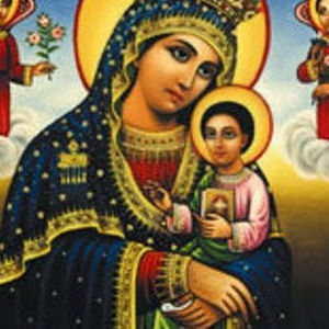 Meet your Posher, Shiferaw